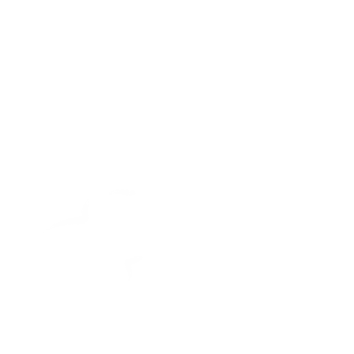 Persian Tar